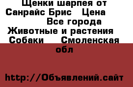 Щенки шарпея от Санрайс Брис › Цена ­ 30 000 - Все города Животные и растения » Собаки   . Смоленская обл.